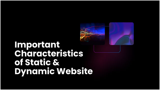 Important characteristics of static and dynamic website, infogenx, software solutions sydney